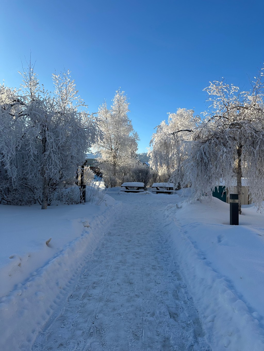 I Went on a Walk, and the War Walked With&nbsp;Me