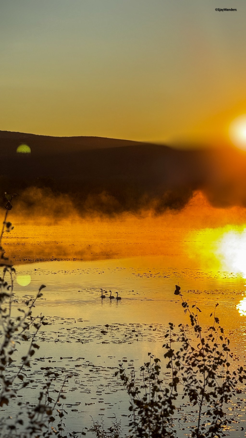 The Road Teaches You&nbsp;Everything